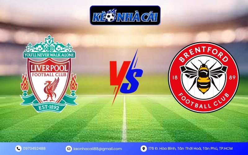 Dự đoán trận Liverpool vs Brentford 24/05