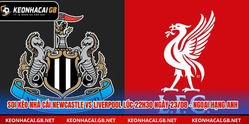 Phân tích trận đấu Newcastle vs Liverpool lúc 22h30 ngày 23/08 – Ngoại Hạng Anh Phân tích trận đấu Newcastle vs Liverpool lúc 22h30 ngày 23/08 – Ngoại Hạng Anh